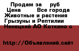 Продам за 50 руб. › Цена ­ 50 - Все города Животные и растения » Грызуны и Рептилии   . Ненецкий АО,Коткино с.